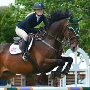 Antares breastplate size 2 (full) Leather running attachment included horse tack